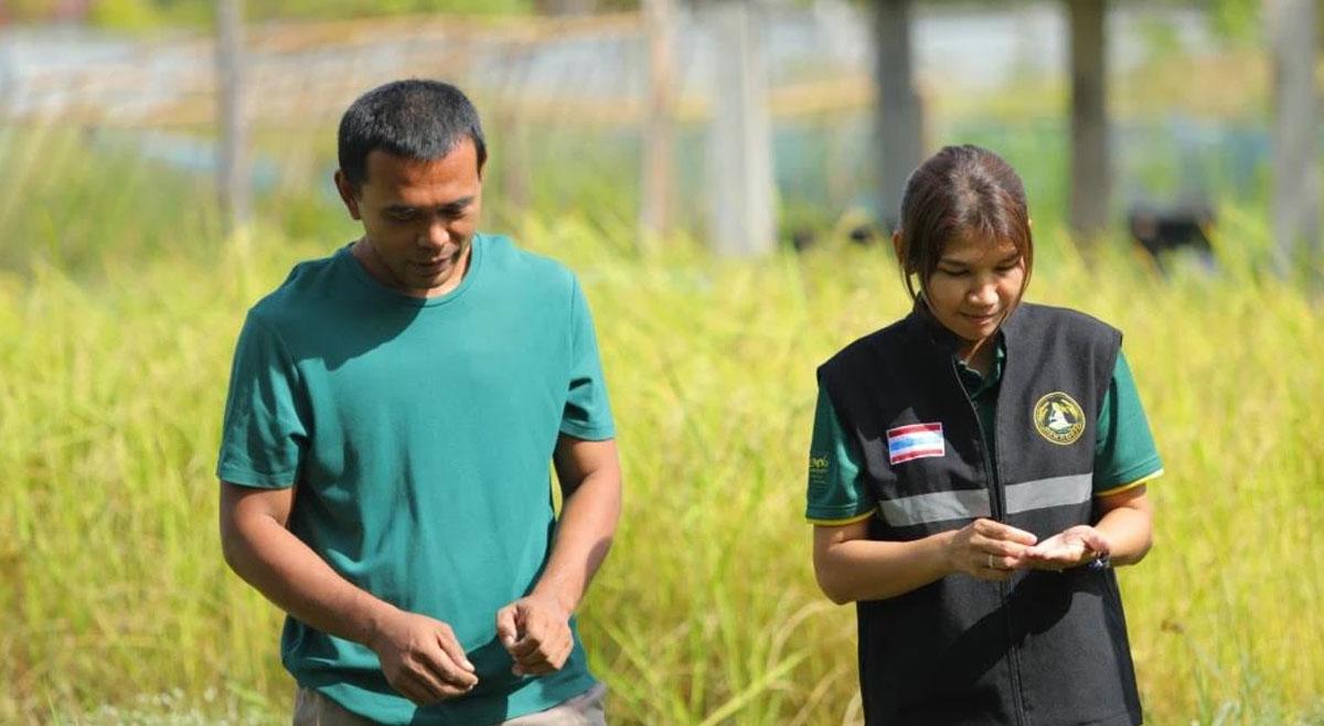 เกษตรอัจฉริยะ Smart Farmer พลิกโฉมเกษตรไทย